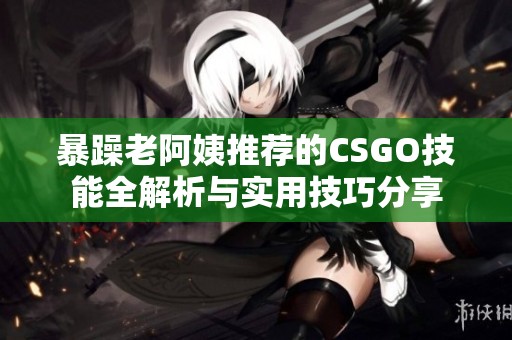 暴躁老阿姨推荐的CSGO技能全解析与实用技巧分享