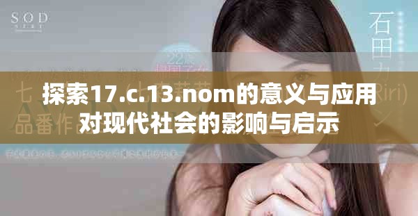 探索17.c.13.nom的意义与应用对现代社会的影响与启示