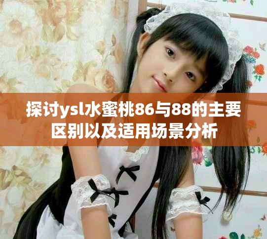 探讨ysl水蜜桃86与88的主要区别以及适用场景分析