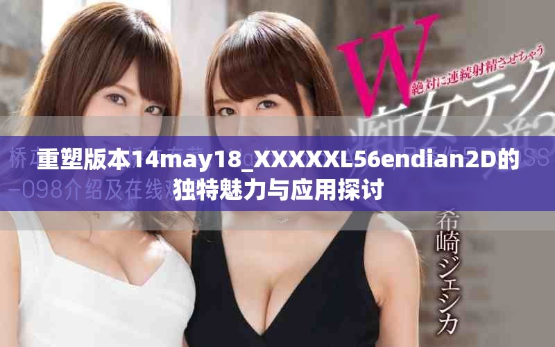 重塑版本14may18_XXXXXL56endian2D的独特魅力与应用探讨