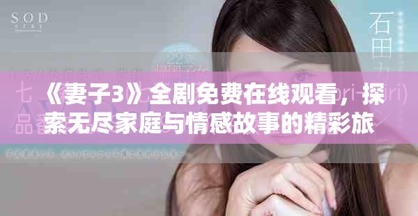 《妻子3》全剧免费在线观看，探索无尽家庭与情感故事的精彩旅程