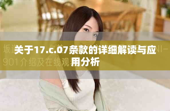 关于17.c.07条款的详细解读与应用分析