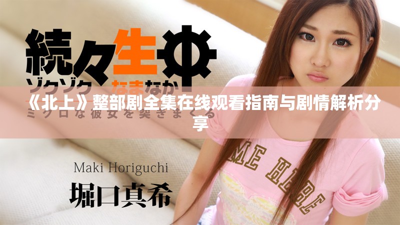 《北上》整部剧全集在线观看指南与剧情解析分享