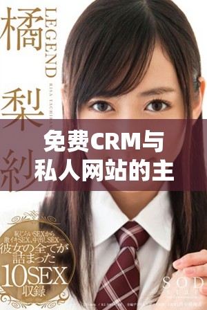 免费CRM与私人网站的主要区别解析及使用场景对比
