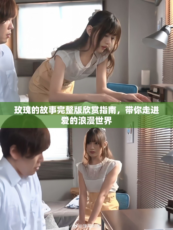 玫瑰的故事完整版欣赏指南，带你走进爱的浪漫世界