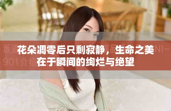 花朵凋零后只剩寂静，生命之美在于瞬间的绚烂与绝望