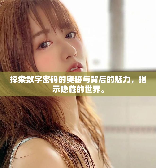 探索数字密码的奥秘与背后的魅力，揭示隐藏的世界。