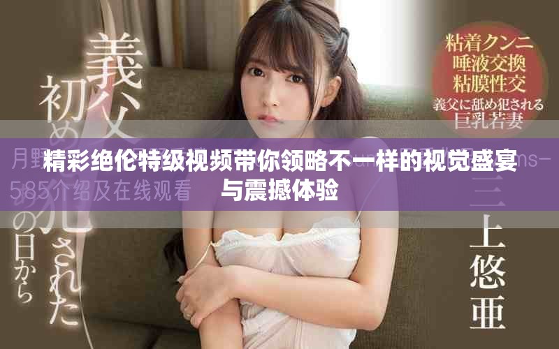 精彩绝伦特级视频带你领略不一样的视觉盛宴与震撼体验