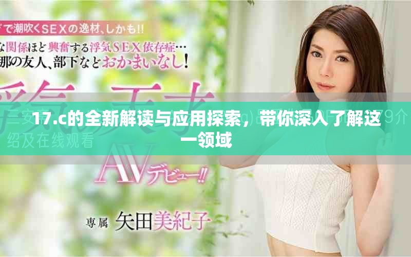17.c的全新解读与应用探索，带你深入了解这一领域
