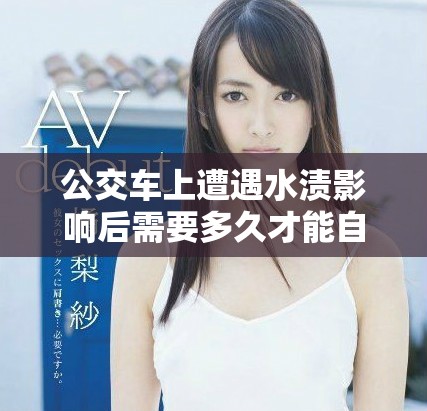 公交车上遭遇水渍影响后需要多久才能自己恢复正常状态