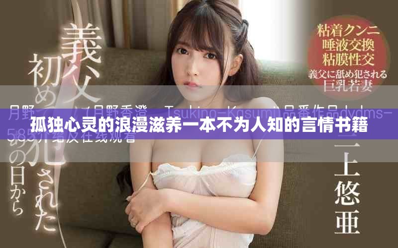 孤独心灵的浪漫滋养一本不为人知的言情书籍