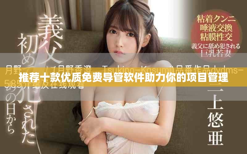推荐十款优质免费导管软件助力你的项目管理