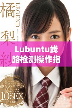 Lubuntu线路检测操作指南及常见问题解答汇总