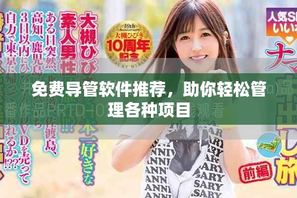 免费导管软件推荐，助你轻松管理各种项目