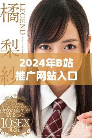 2024年B站推广网站入口解析与多样化推广方式分享