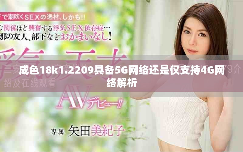成色18k1.2209具备5G网络还是仅支持4G网络解析