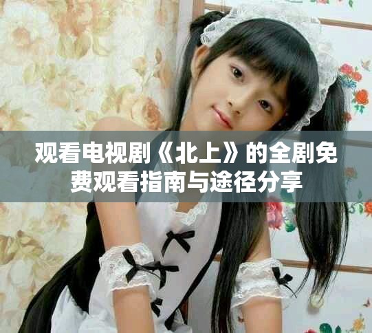 观看电视剧《北上》的全剧免费观看指南与途径分享