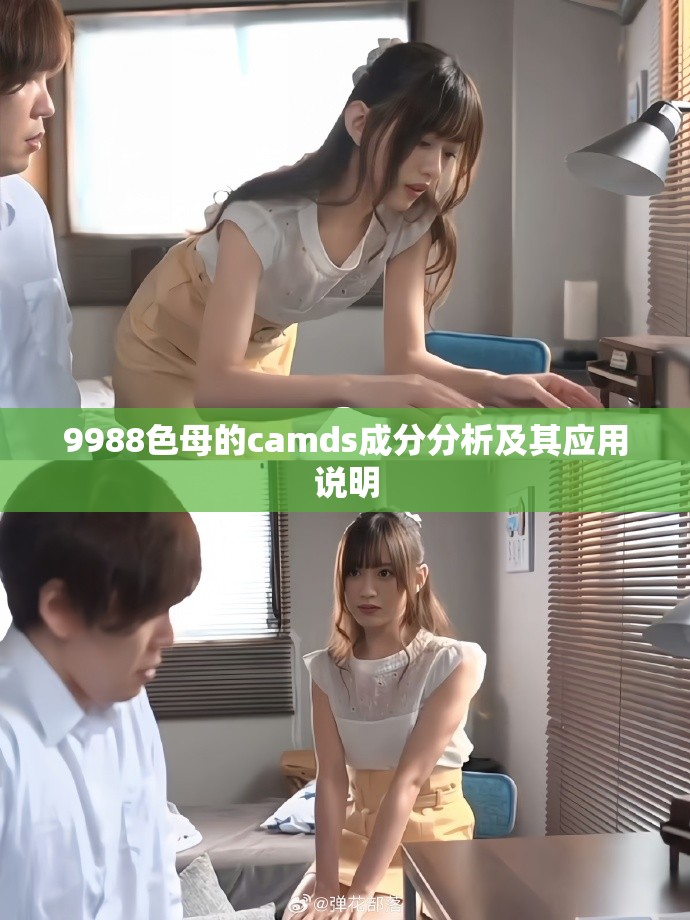 9988色母的camds成分分析及其应用说明
