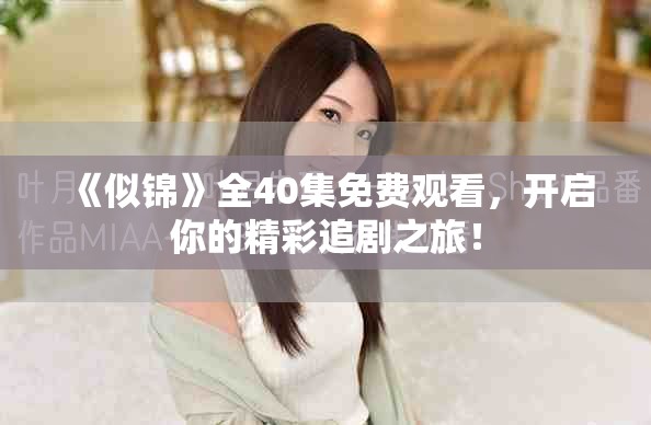 《似锦》全40集免费观看，开启你的精彩追剧之旅！