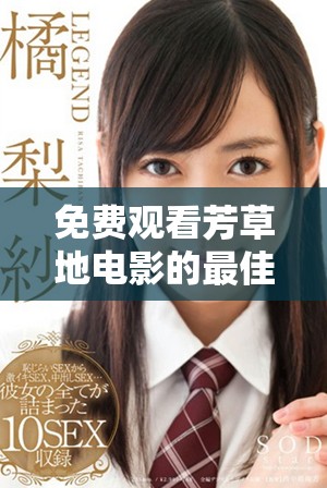 免费观看芳草地电影的最佳渠道与观看方法分享