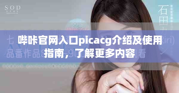 哔咔官网入口picacg介绍及使用指南，了解更多内容
