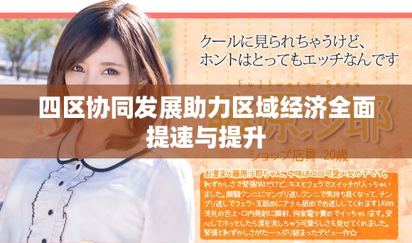 四区协同发展助力区域经济全面提速与提升