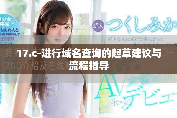 17.c-进行域名查询的起草建议与流程指导