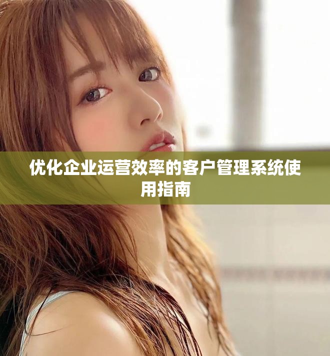 优化企业运营效率的客户管理系统使用指南