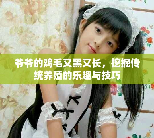 爷爷的鸡毛又黑又长，挖掘传统养殖的乐趣与技巧