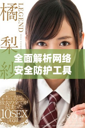 全面解析网络安全防护工具 免费网址安全软件推荐大全