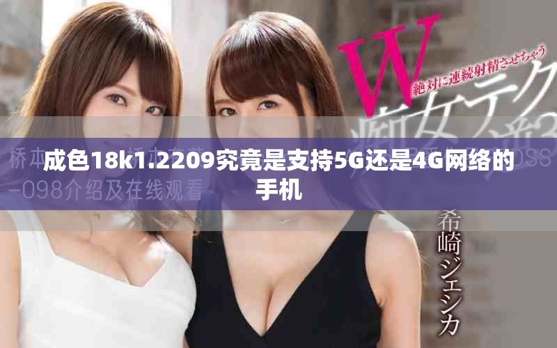成色18k1.2209究竟是支持5G还是4G网络的手机