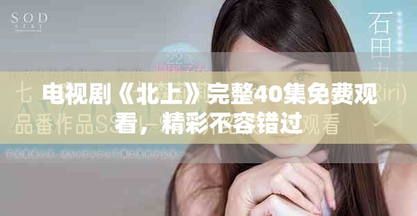 电视剧《北上》完整40集免费观看，精彩不容错过