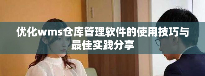 优化wms仓库管理软件的使用技巧与最佳实践分享