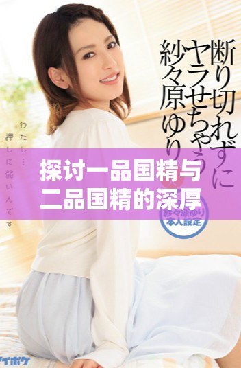 探讨一品国精与二品国精的深厚文化内涵和历史背景