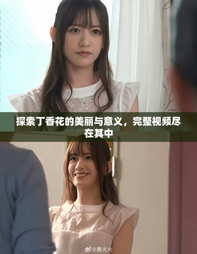 探索丁香花的美丽与意义，完整视频尽在其中