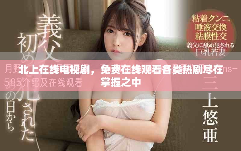 北上在线电视剧，免费在线观看各类热剧尽在掌握之中