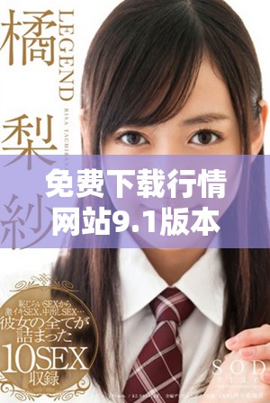 免费下载行情网站9.1版本安装包，轻松获取市场信息指南