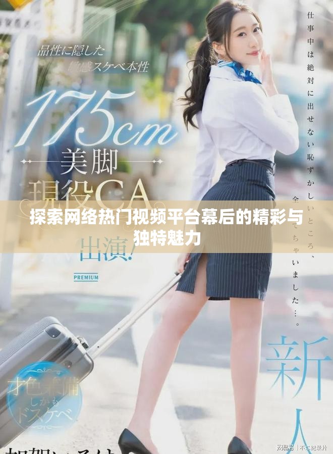 探索网络热门视频平台幕后的精彩与独特魅力