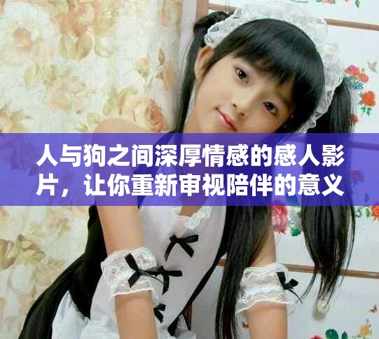 人与狗之间深厚情感的感人影片，让你重新审视陪伴的意义