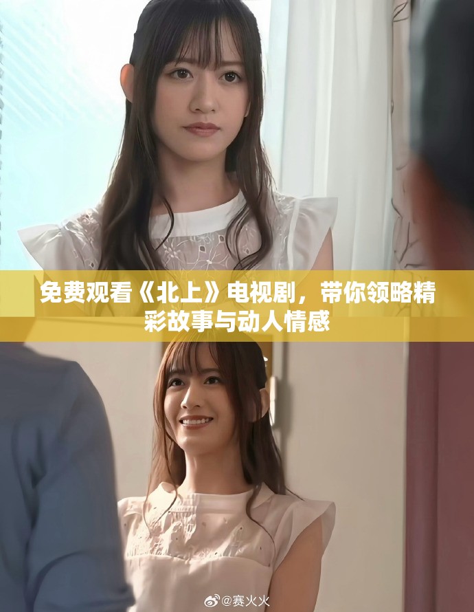 免费观看《北上》电视剧，带你领略精彩故事与动人情感