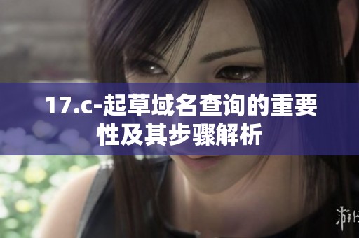 17.c-起草域名查询的重要性及其步骤解析
