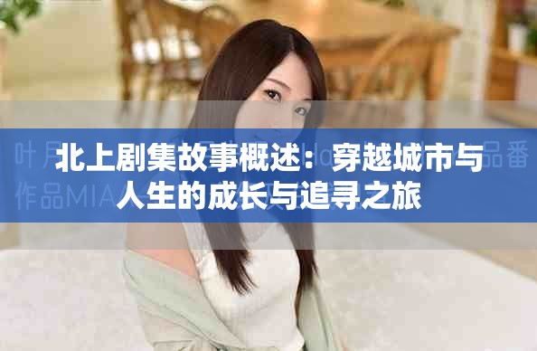 北上剧集故事概述：穿越城市与人生的成长与追寻之旅