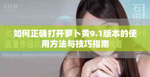 如何正确打开萝卜黄9.1版本的使用方法与技巧指南