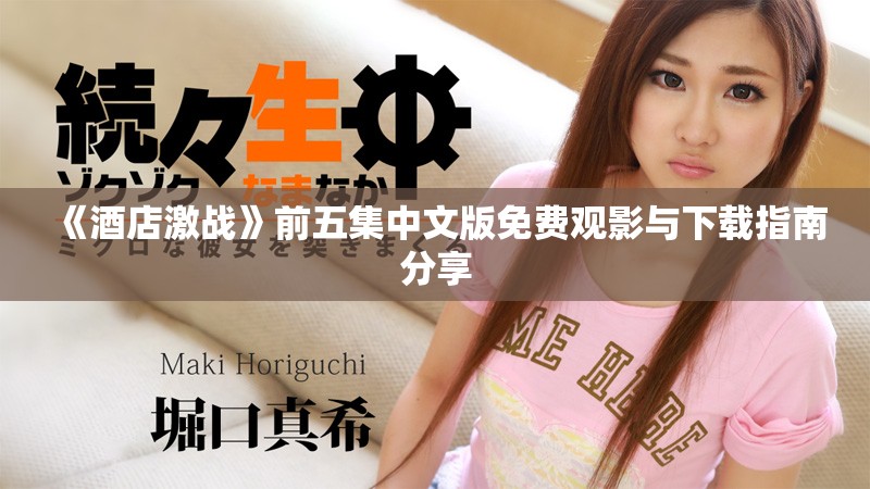 《酒店激战》前五集中文版免费观影与下载指南分享