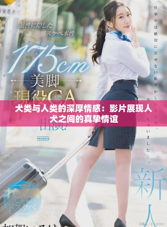 犬类与人类的深厚情感：影片展现人犬之间的真挚情谊