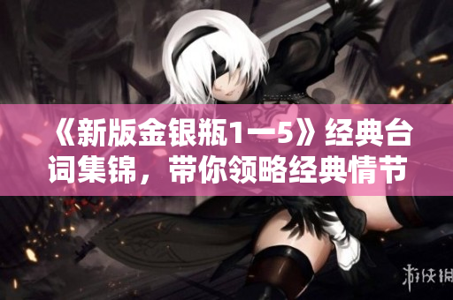 《新版金银瓶1一5》经典台词集锦，带你领略经典情节与金句！