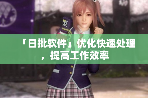 「日批软件」优化快速处理，提高工作效率