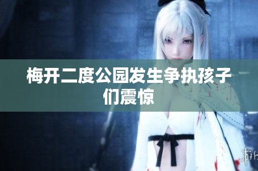 梅开二度公园发生争执孩子们震惊