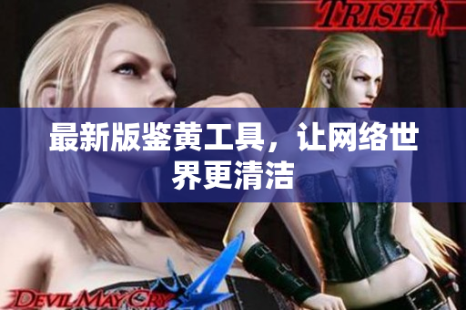 最新版鉴黄工具，让网络世界更清洁