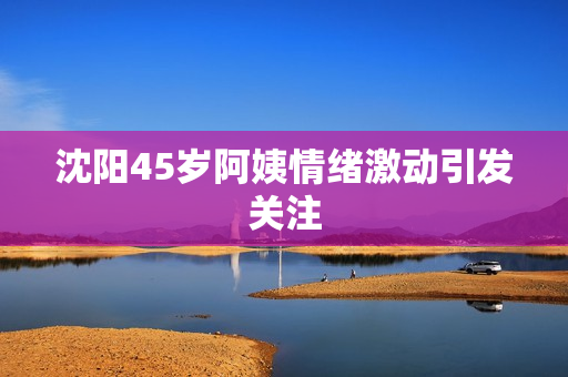 沈阳45岁阿姨情绪激动引发关注